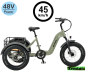 Preview: Elektro Dreirad Zemto-Revom Trike T2, Gas-Funktion, 45 KMH, breite Reifen Neuheit grün